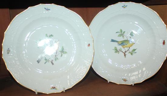 A set of twelve Meissen ornithological dinner plates, 19th century, 24cm